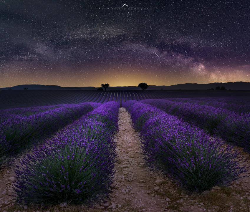 Milkyway at Valensole | Shutterbug